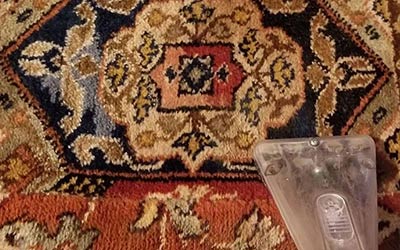 Portuguese Rug Cleaning