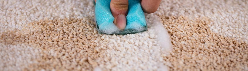 Banner of Premium rug stain removal service
