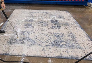Worker cleaning rug