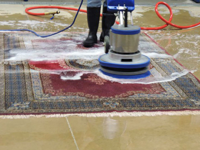 Rug Cleaning Process Service