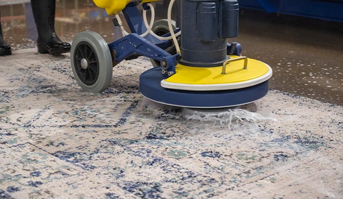 rug cleaning professionally