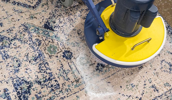 Rug cleaning with water extraction method for a thorough and effective refresh.